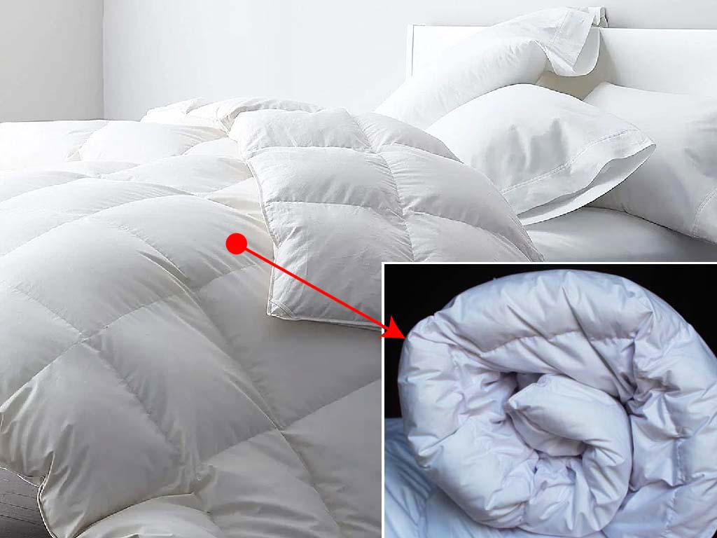 Duvet Insert